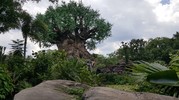 Tree of life, Disney World's Animal Kingdom
